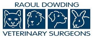 raoul-dowding_logo-from-pdf-2-1-640-x-253_1