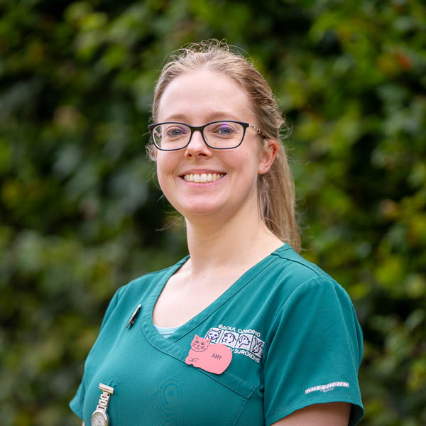 Amy Lewis RVN - Clinical Nurse Manager