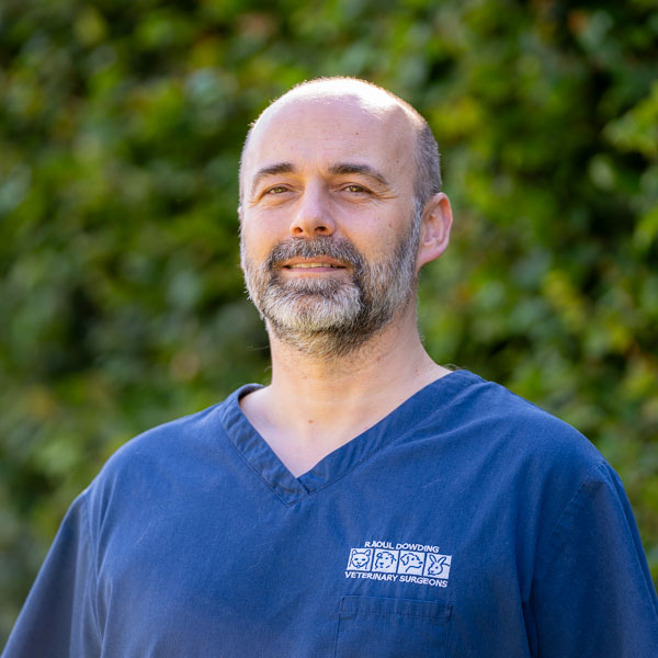 Andrew Chadwick-Veterinary Surgeon