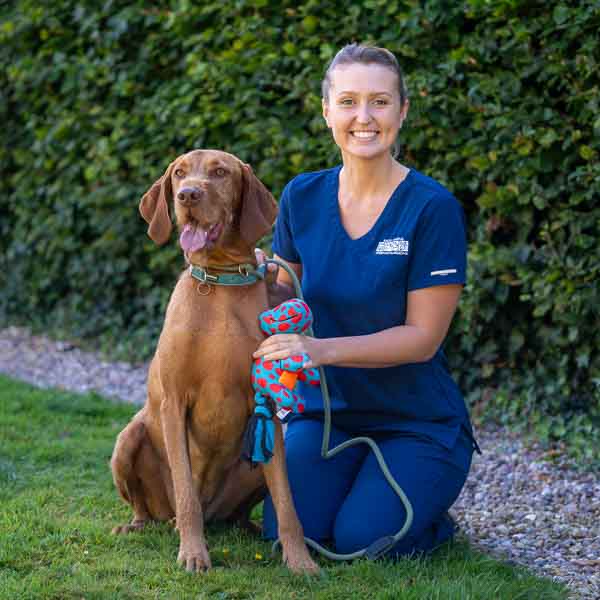 Anna Kinge - Veterinary Surgeon